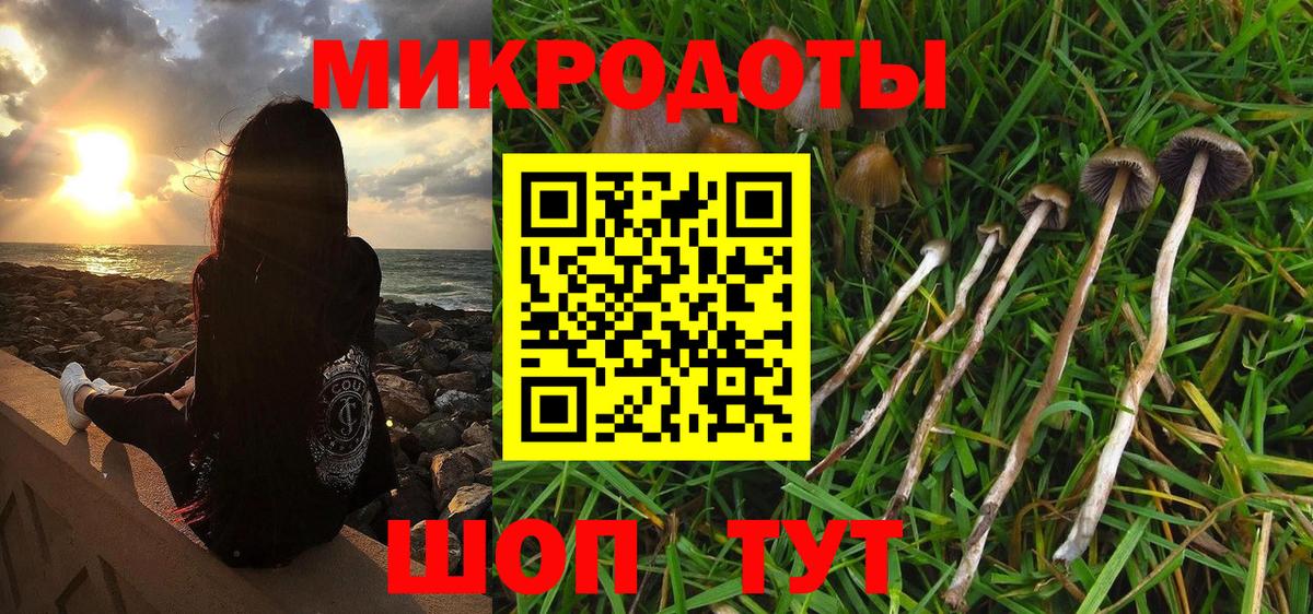 Псилоцибиновые грибы мицелий  Вход с VPN  Кизилюрт  Галлюциногенные грибы ЛСД 